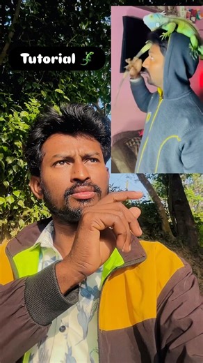 Iguana invasion filter tutorial🦎￼#Iguanainvasion #tutorial #filter #shorts #effect #mha