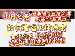 小白零基础入门：ISP 服务器选购核心技巧 + 中转配置实操步骤 + IP 纯净度专业查询方法 全维度保姆级指南，新手秒懂避坑技巧，轻松搞定服务器选型、中转搭建与 IP 质量检测