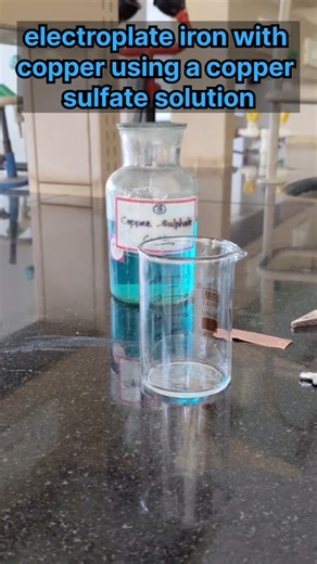 science fun lab channel on Instagram: "Electroplating iron with copper plate using a copper sulphate solution science experiment #reelsinstagram #chemistry #biology #physics #experiment"