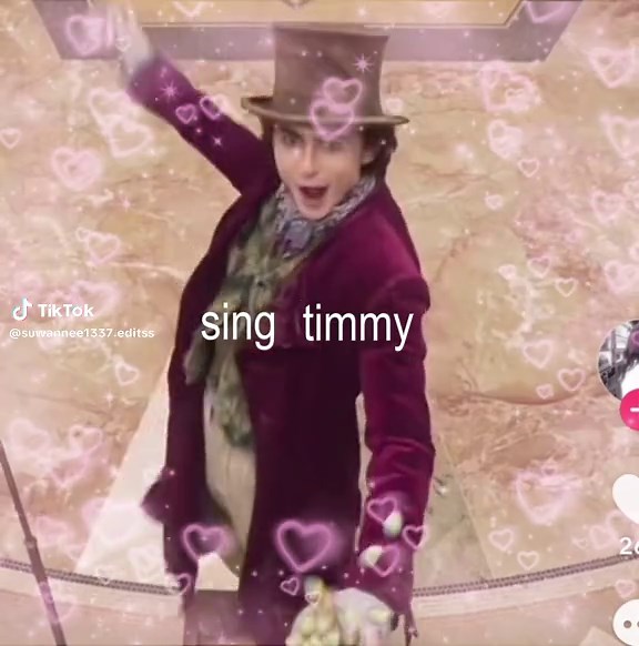 Timothée Chalamet Singing Highlights