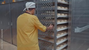 Operator with bread dough trays, ready to be placed in factory ovens. Bread bakery food factory production with fresh products. Automated production of bakery products.