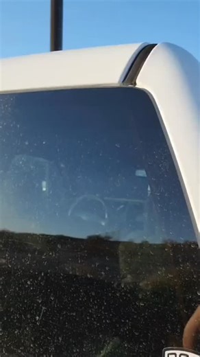 Stickitcustoms on Instagram: "Decals available on my Etsy store stickitcustoms13 #sarcasticdecals #funnyashell #prankstickers #funnybumperstickers #memevinyl #funnyquotes #stickeraddict #snarkystickers #humorstuff #laughalittle #relatablefunny #funnydesign #oopsprank #funnygiftideas #humorlife #nsfwhumor #garagehumor #dadjokes #adultingishard #snarkyhumor #stickershop #stickersale #vinyldecor #vinyldecals #customvinyl #funnyart #memejokes #comicrelief #lolmood #shopsmallbiz"