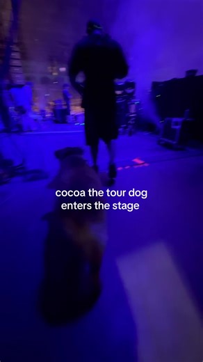 Just woke up from a very vivid dream about Cocoa… so I thought I’d share one of my favorite moments of her entering her favorite place, just before the band took the stage. RIP to the greatest to ever do it ✌🏾🐾 #cocoathetourdog #stickfigure