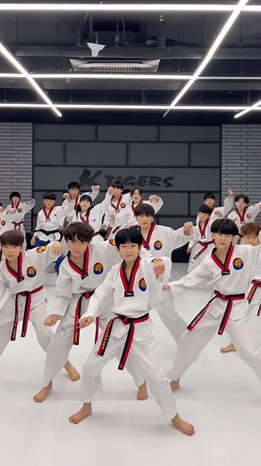 K-Tigers (K타이거즈) | [리틀K타이거즈] 👑👶 #TOOBAD #GD #Ktigers #LittleKtigers #challenge #K타이거즈 #리틀K타이거즈 #지디 #지드래곤 #투배드 #태권도 | Instagram