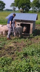 14K views · 129 reactions | This Is What I Used to Make a Football from Scratch #DIYFootball #HowItsMade #HandmadeFootball | How To Make Everything | Facebook