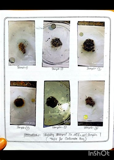 #ToAnalyzeandCompareSoilSamples#pHMeasurement#IgnitionTest#TestForCarbonateIons#SoilDensityGradient