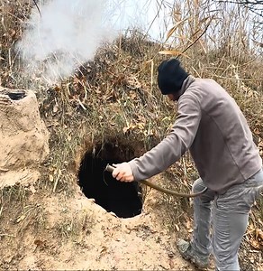 3.8K views · 18 reactions | Creating a forest shelter on an old stump to protect against wild boar attacks. Bushcraft. Survival | Adventure and Nature | Facebook
