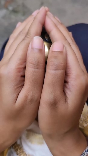 Bridal Mehandi Designs on Reels