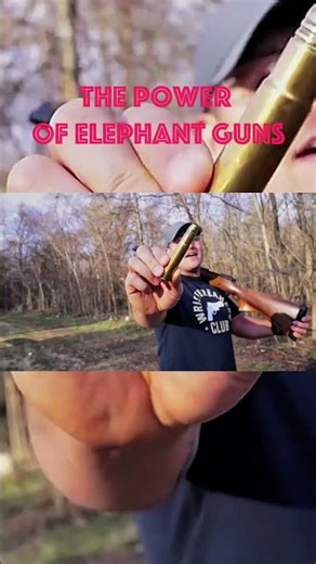 t-rex gun vs human???😳