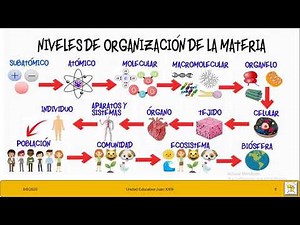 La Célula y los niveles de organización celular BIOLOGÍA 9 6 2020