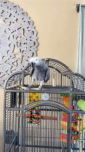 Come here, come say hi 🥹😘