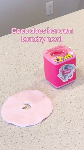 24K views · 679 reactions | Watch my cockatoo do her own laundry. 狀 How cute! #laundry #laundryday #laundryservice | Lucky Lou and Coco Too | Facebook