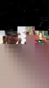 Igboman to the core. Capturing every moment… #akiandpawpaw | Chinedu Ikedieze TV