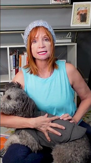 Calm Your Dog During Thunderstorms: Tips and Tricks That Really Work