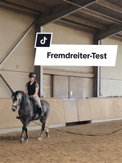 Vor ein paar Tagen war ich zu Gast im Stall bei meiner Cousine und wir haben mit ihrem Verkaufspferd einen Fremdreitertest durchgeführt. Er war super brav und es hat echt Spaß gemacht♥️ #verkaufspferd #spanier #equestrianlife #jungpferd #jungpferdeausbildung