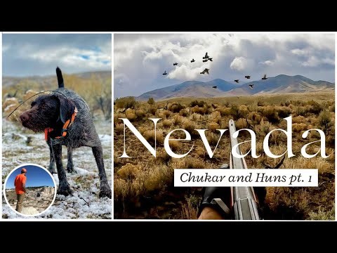 Nevada Chukar and Huns! pt. 1 My First Time in NV!