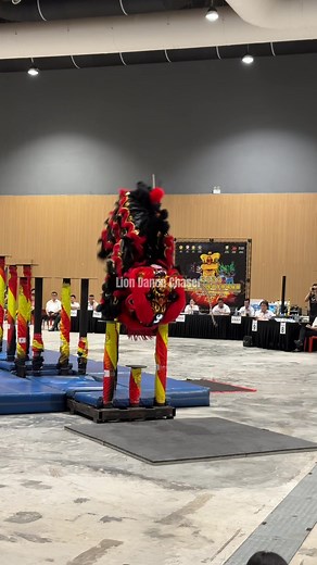 Lion Dance Chaser on TikTok