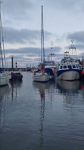 visiting yacht bridlington harbour 🌊 Yorkshire coast-love it 🦀