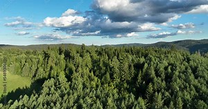 panorama of beautiful countryside of romania. sunny afternoon. wonderful springtime landscape in mountains. grassy field and rolling hills. rural scenery Stock Video