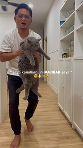 46K views · 9.4K reactions | Ni salah satu cara i guna utk kurangkan bulu kucing yang gugur merata rumah. Diorg ni semua tak keluar. Main , makan tidur semuanya dalam rumah. Jadi kena extra sikit penjagaan diorg semua ni kalau nak rumah kekal bersih. Kalau tak , mmg byk la bulu bertebangan kt rumah ni﫠 Set grooming yg i pakai tadi mmg berguna sgt. Kalau sikat biasa, mmg akan melayang-layang bulu diorg. Pakai yg ni mmg terus sedut je. Rate 5/5⭐️ | Mohamad Aidil | Facebook