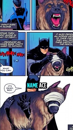 The Emotional Origin of Ace the Bat-Hound !