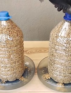 15K views · 226 reactions | Simple method of making poultry trough | Shadrack Agyekum | Facebook