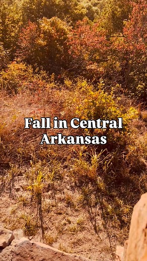 Arkansas is glowing. 🍂✨ From the trails to the treetops, fall color season is officially here — and it’s stunning. We’re sharing the best spots to see the leaves change, sip cider, and soak up every fall moment across Central Arkansas. 🍁 Follow @littlerock.locals so you don’t miss our fall guides, hidden gems, and weekend picks all season long! 🌾 #LittleRockLocals #FallInArkansas #CentralArkansas #ExploreArkansas #ArkansasFall #OnlyInArkansas #LittleRockAdventures #ThingsToDoInArkansas #FallC