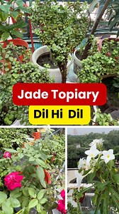 56K views · 976 reactions | Maa Ke Haathon ka Dil: Heart Topiary...