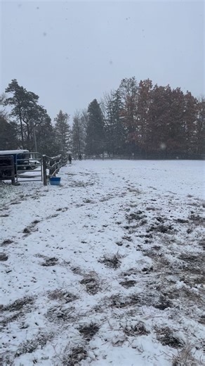 First snow of the season | Greg Davies