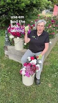 It’s almost time to start seeds for the biennial Sweet William
