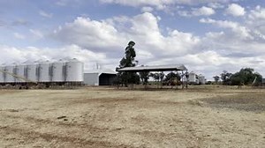 51 reactions · 12 shares | "See that empty shed.... well, it's not...