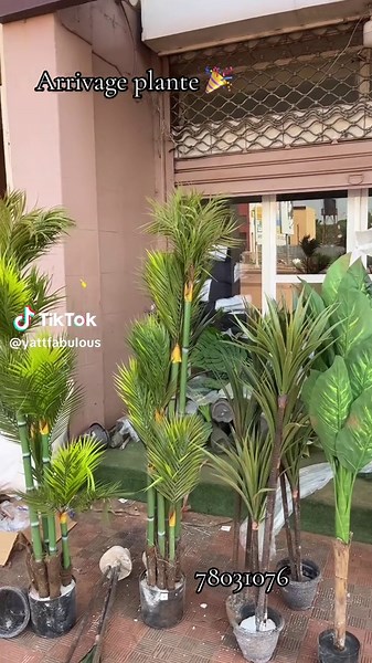 #fabulous #vaisselle #flye #malitiktok🇲🇱 #malitiktok🇲🇱 #viralvideos