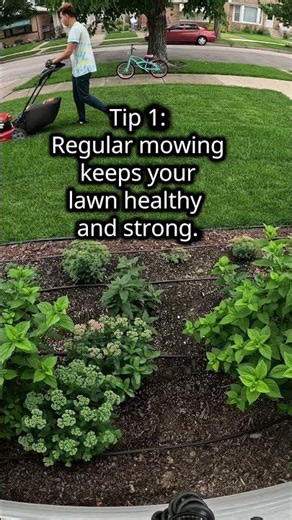 How to Mow Smart ✂️ – Simple Lawn Care Tips for Homeowners #MowSmart #SummerLawnCare #HealthyLawn