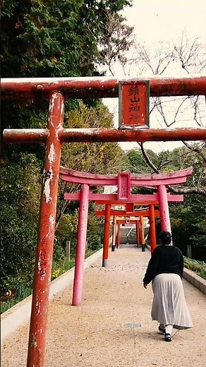 The Rewards of Living in Japan ⛩️ | Exploring Culture, Tradition & Daily Life #japaneseculture