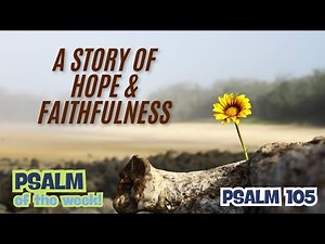 Discovering GOD's Amazing Faithfulness in Psalm 105!