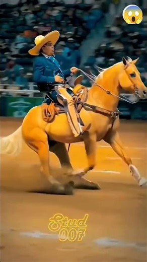 khatarnak circus stunt show//#shortsfeed #circus #music