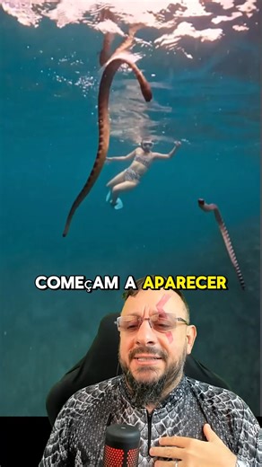 823K views · 10K reactions | Mergulho com serpentes marinhas, você teria coragem? #animais #faunamarinha #cobramarinha #australia #flagranteanimal | Biólogo Henrique o Biólogo das Cobras | Facebook