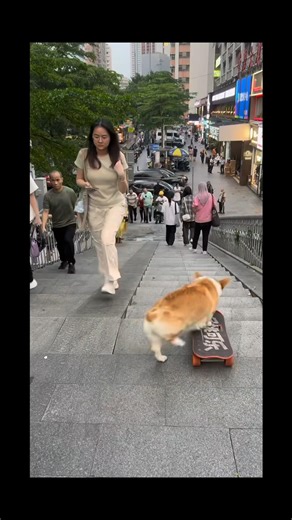 “หมาสเก็ต” [Boarding Dog] EP.1