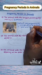 384K views · 1.6K reactions | Gestational Periods in Animals. https://www.youtube.com/@TableofKnowledgeTV | Table of Knowledge TV | Facebook