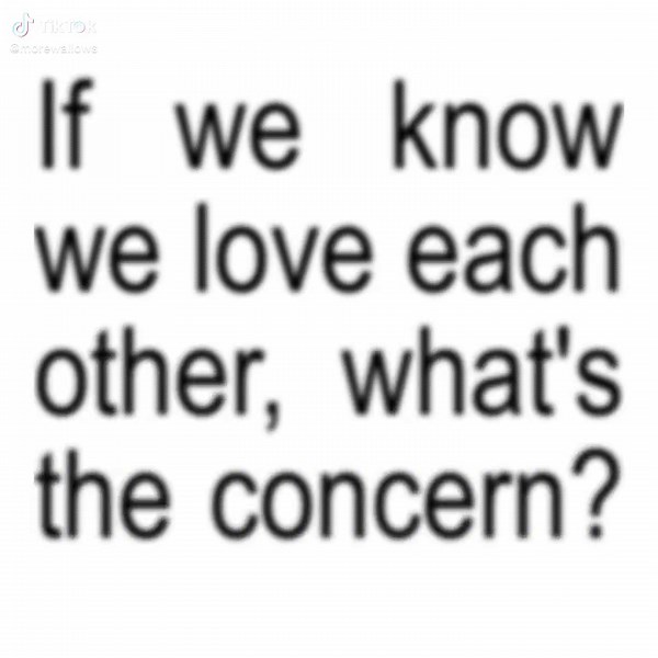 Wallows Concert Edits and Lyrics Overview