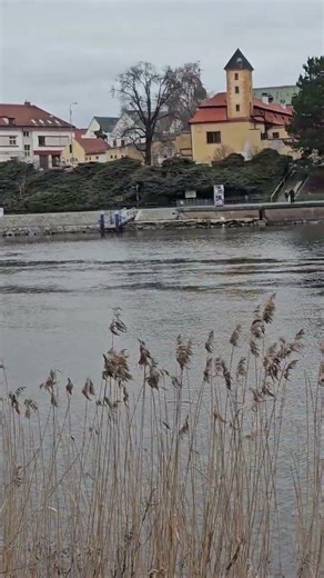 Řeka Labe v Poděbradech | Pohled přes řeku na zámek