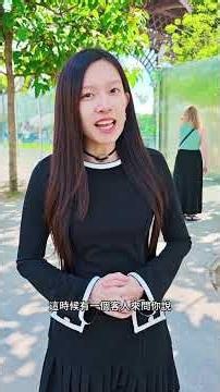 3分鐘學程式(五)--資料結構和演算法有什麼不同?# shorts #程式 # 親子#教育