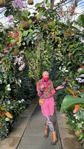 41K views · 983 reactions | Join Henck on a mini tour of this year's orchid festival in the Princess of Wales Conservatory, celebrating the beauty of Peru 蓮 There are still some spots left to see the magic for yourself  https://ow.ly/7HoJ50UUKjk | Kew Gardens | Facebook