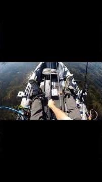 Catching a big one on the recast. #bass #fishing #kayakfishing #largemouthbass