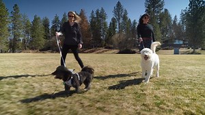 18 reactions · 4 comments | You might be thinking that pet waste is like fertilizer, but it’s not. It’s actually bad for our waterways and can contain bacteria like e-coli. That’s a health hazard! Learn more at SpokaneStormwater.org. | City of Spokane - Municipal Government | Facebook