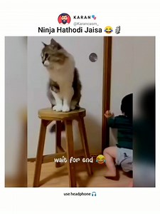 Ninja hathodi jaisa 🗿😂 Use headphones 🎧 . Follow for more 💥 @karancasm_ . #angvines #funnyvideos #fyp #catphoto #catselife #memes #catinstagram #catphotography #catlove #catgram #catoftheworld #cat #catmemes #catsofintsagram #catloversclub #catlove #cats #catlife #catmeme #catlovercluby #cats #catlovers #catlife #catoftheweeks #memes #catlove #catphoto #kitty #catwalk #cats #catoftheweek #kittycat #kittensofinstagram #kittygram #kittykitty #kittenofworld #catsofinstagram #funnyvideosinhindi 