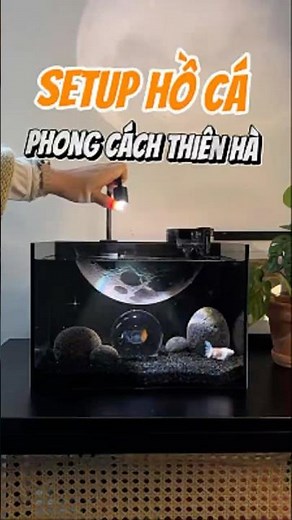 Setup Hồ Cá Phong Cách Thiên Hà Với Đèn Rọi Nuôi Cá Betta - Nuôi cá dưỡng tâm