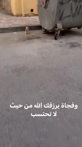 10K reactions · 443 shares | Noha Flower on Reels | Facebook