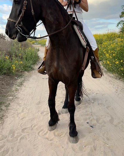 4.3K views | Aviya Evgi on Reels | Facebook