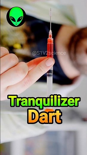 tranquilizer dart by S1V2